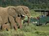 Pumba Msenge Bush Lodge - Game Drive 